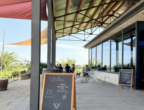 Vinya els Vilars, un espai entre vinyes per reconectar amb el temps, les emocions i la bona companyia