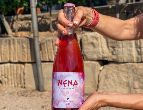 Nena Ancestral el primer vi escumós de Vinya els Vilars